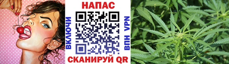 Бошки Шишки тримм  Гусев 